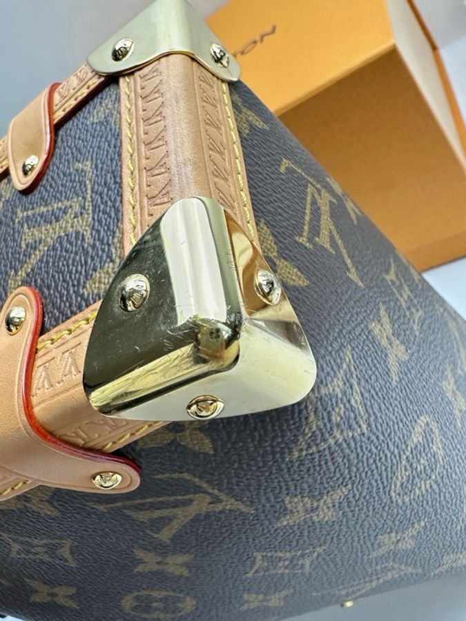 Louis Vuitton 路易威登 谷愛凌中號 芯片款 附件:肩帶 塵袋-13
