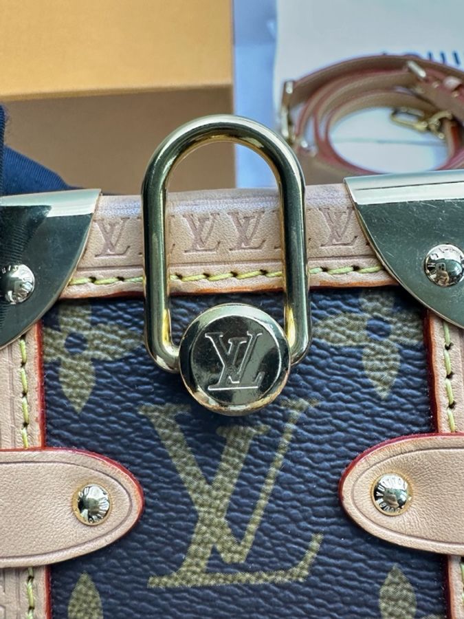 Louis Vuitton 路易威登 谷愛凌中號 芯片款 附件:肩帶 塵袋-14