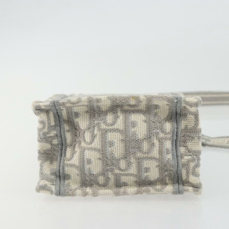 【日本直送】Christian Dior Trotter 帆布 Book Tote Mini 兩用灰色金色正品 193902-4