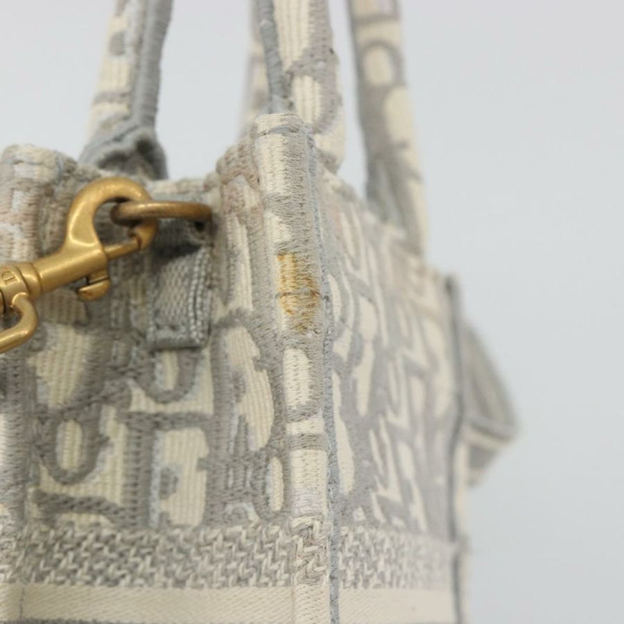 【日本直送】Christian Dior Trotter 帆布 Book Tote Mini 兩用灰色金色正品 193902-9