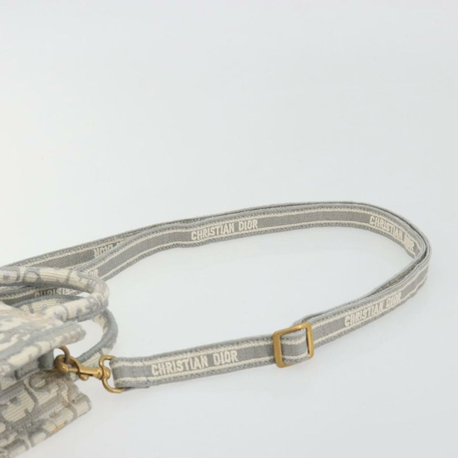 【日本直送】Christian Dior Trotter 帆布 Book Tote Mini 兩用灰色金色正品 193902-14