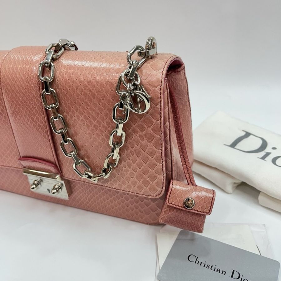 Dior python skin bag-2