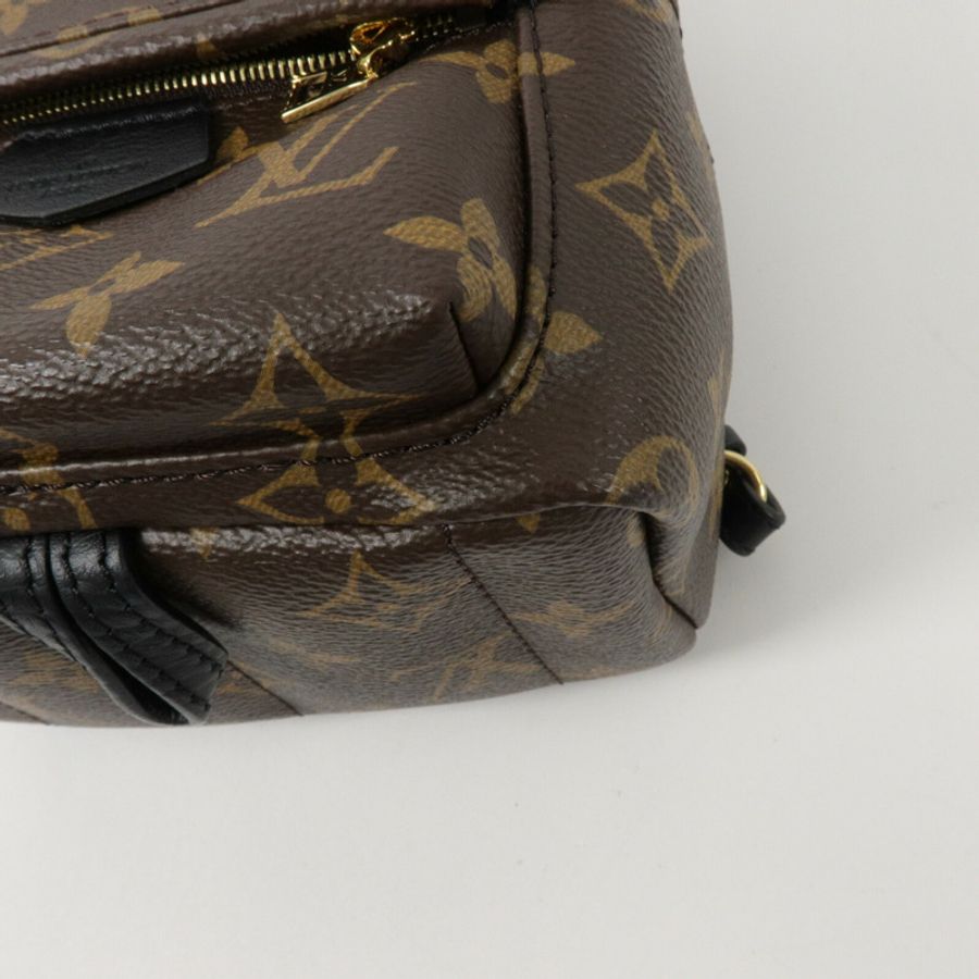 LOUIS VUITTON Monogram Palm Springs Mini背包-12