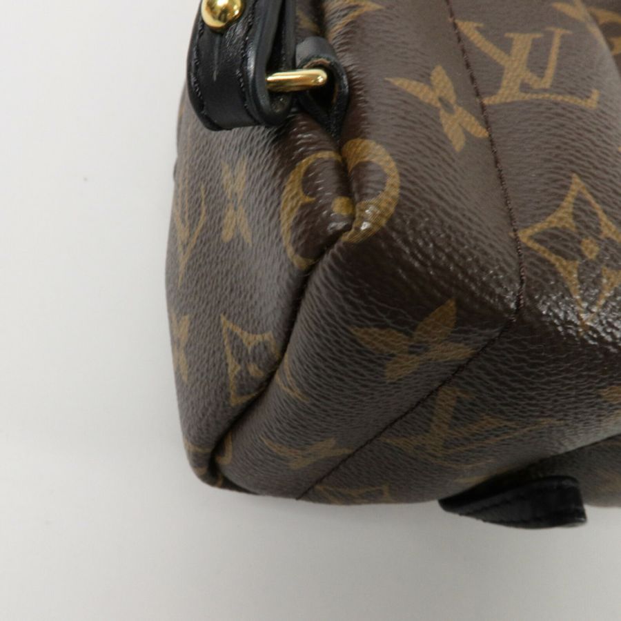 LOUIS VUITTON Monogram Palm Springs Mini背包-13
