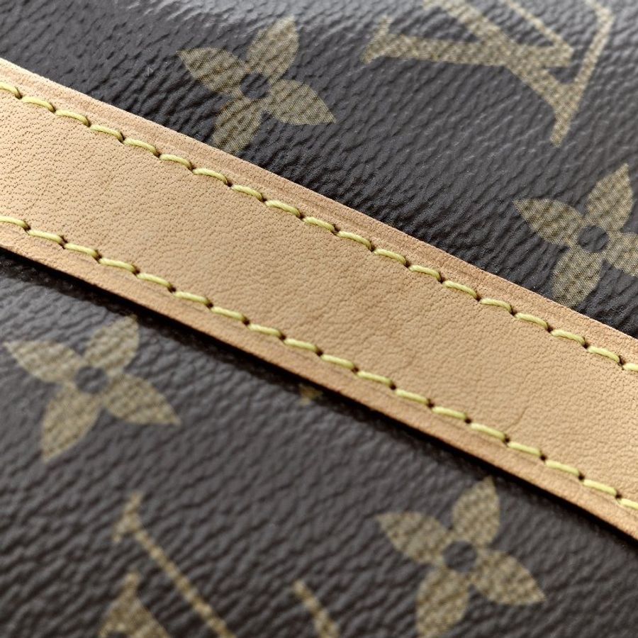 Louis Vuitton 路易威登 Speedy 25 肩帶款 經典花紋 手提包 斜挎包-7