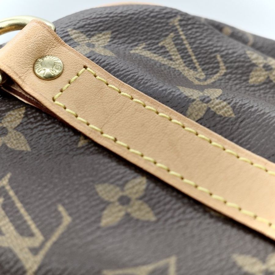 Louis Vuitton 路易威登 Speedy 25 肩帶款 經典花紋 手提包 斜挎包-27