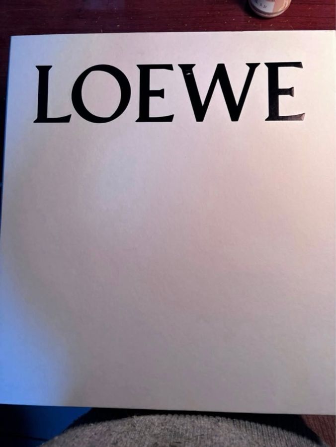LOEWE 💫 mini gate-5